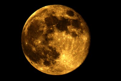 HARVEST MOON