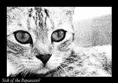 Sick of the Papparazzi?