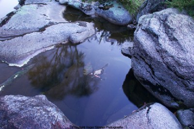 Glass II Bogong Creek