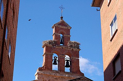 Historical Zamora 12