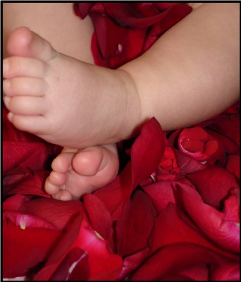 Rose Toes