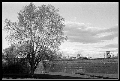 sotto le mura di Lucca #21