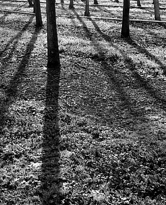 long shadows, long lines
