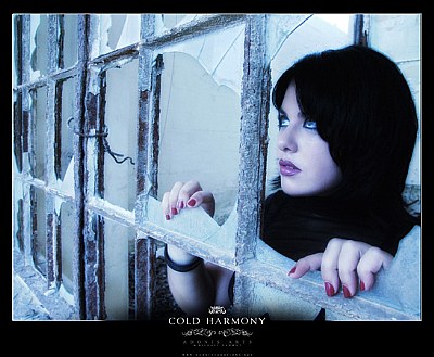 cold harmony