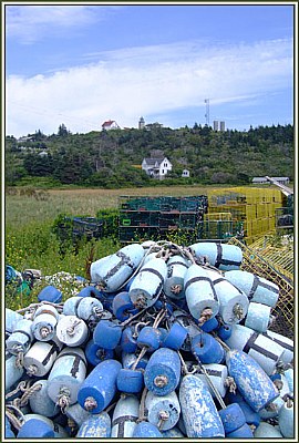 Monhegan View