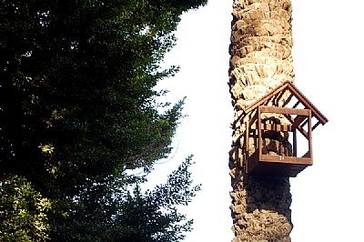 house&tree