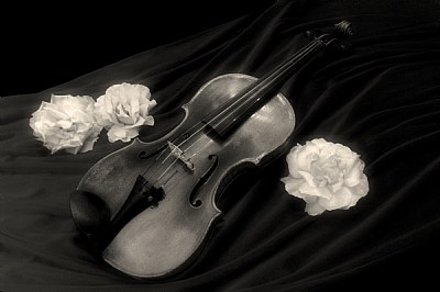 Violin with Roses