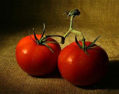 Fresh Tomatoes