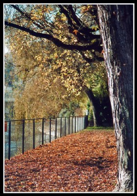 Autumn walkway impression