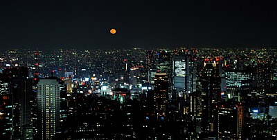 Tokyo Night