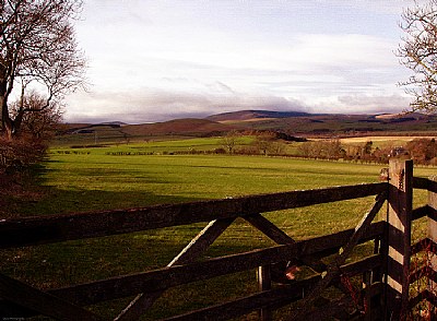 Country Gate