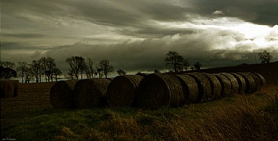 Country Bales