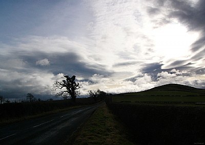 Country Lane