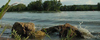 Illinois Tsunami