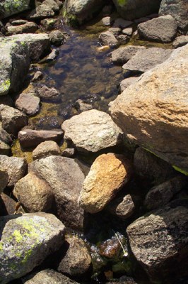 Stuff, Lake Cootapatamba