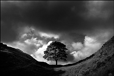 Sycamore Gap