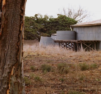 the Shed