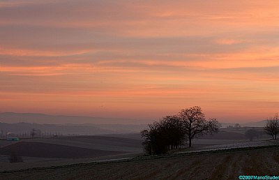 Alba