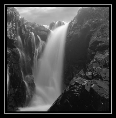 Grey Mares Tail