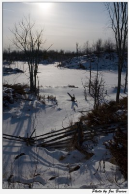 Frozen Beaver Pond