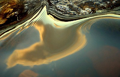 Twisted Cloud