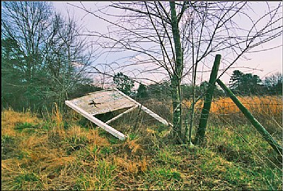   Old Sign "Fallen": Goldmine , Ga