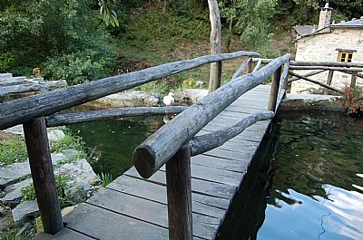 Rural Asturias 9