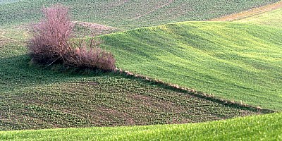 terra di Toscana #2