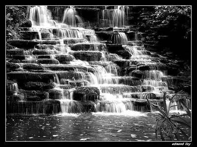 B&W water