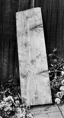 Board Fence and Flowers