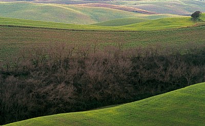 terra di Toscana #5