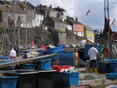 Fishing nets