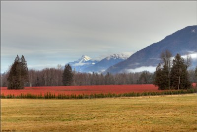 Columbia Valley 2