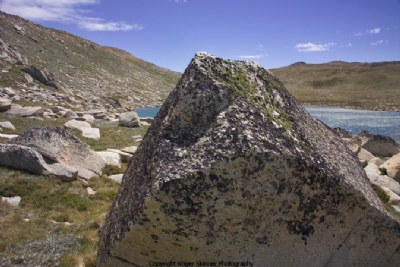 Blocked View Lake Cootapatamba