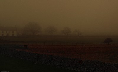 February Mist