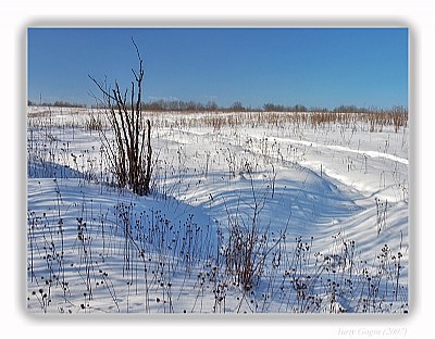 At the end of Winter