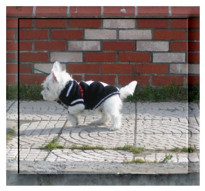 walking baby Phoebe