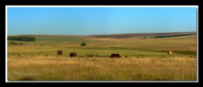 Freestate Farmland 