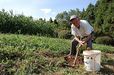 Rural Asturias 12