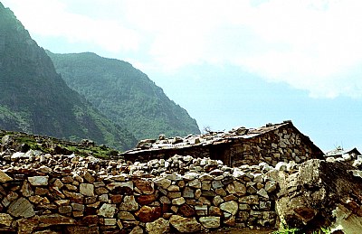 Shelter