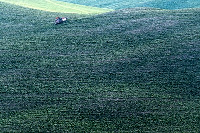 terra di Toscana #17