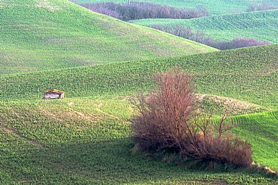 terra di Toscana #18