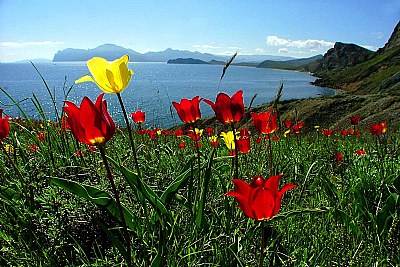 spring and sea