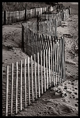 Twisting Dune Fence