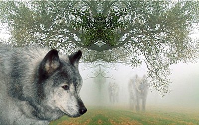 Wolf Spirits