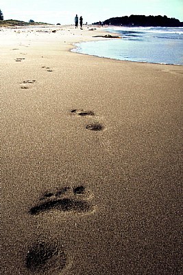 "my footprints are home"
