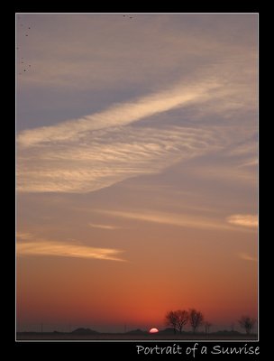 Portait of a sunrise