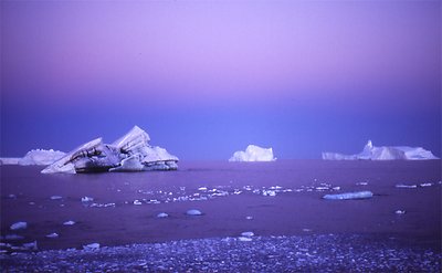 Stained Iceberg, Antarctica