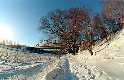 Winter landscape