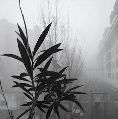 1st jan.2007 :fog